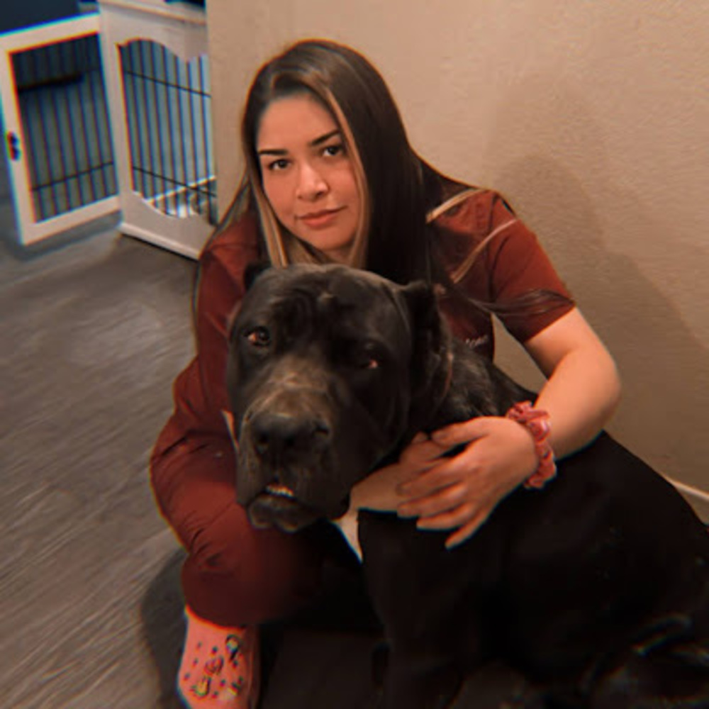 Meet your Posher, Arlene